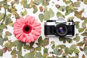 How to Take Unique and Creative Flower Photos Like a Pro