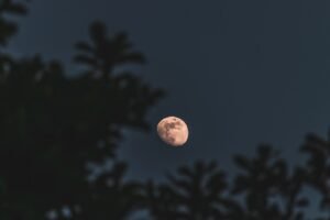 How to Capture Stunning Photos of the Blood Moon with Any Camera