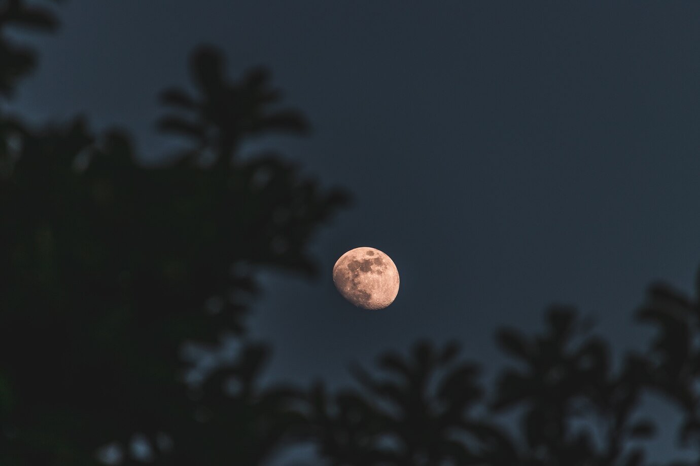 How to Capture Stunning Photos of the Blood Moon with Any Camera